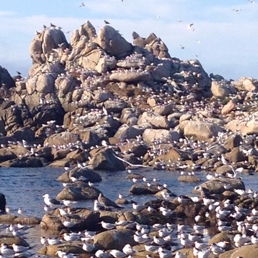 DaleMonterey's profile picture. 