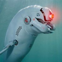 Dolphins are a Lie (@dolphinslie) 's Twitter Profile