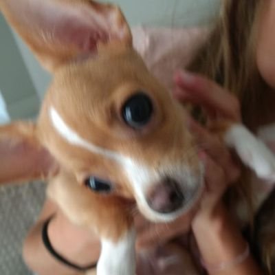 moonlighting011's profile picture. deixa acontecer naturalmente 🌻