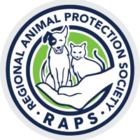 RAPS (@rapsociety) 's Twitter Profile