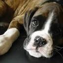 Christine Bundy - @knucklesluver - Twitter