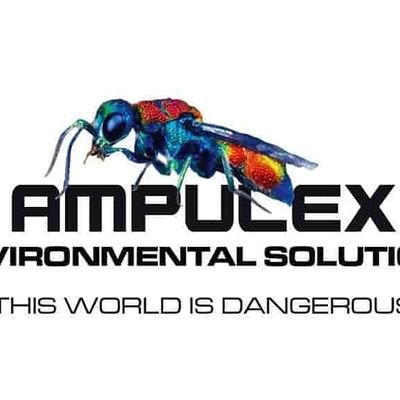 Affordable Bed Bug, Roach, Termite & General Pest Control Professionals. Top Quality, Low Cost, Guaranteed Service. 5 Star Reviewed Exterminators! Free Quotes.