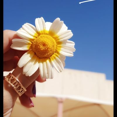 sweet20152s's profile picture. 