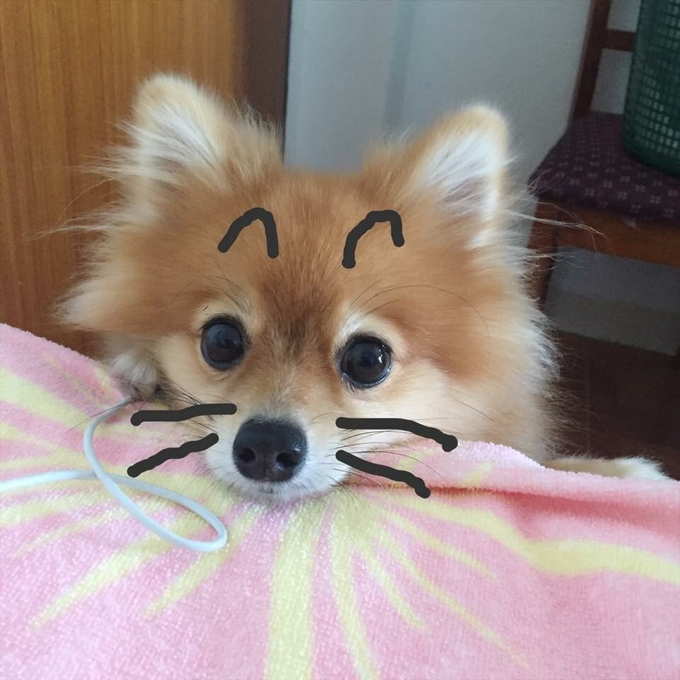 JetMasao's profile picture. 