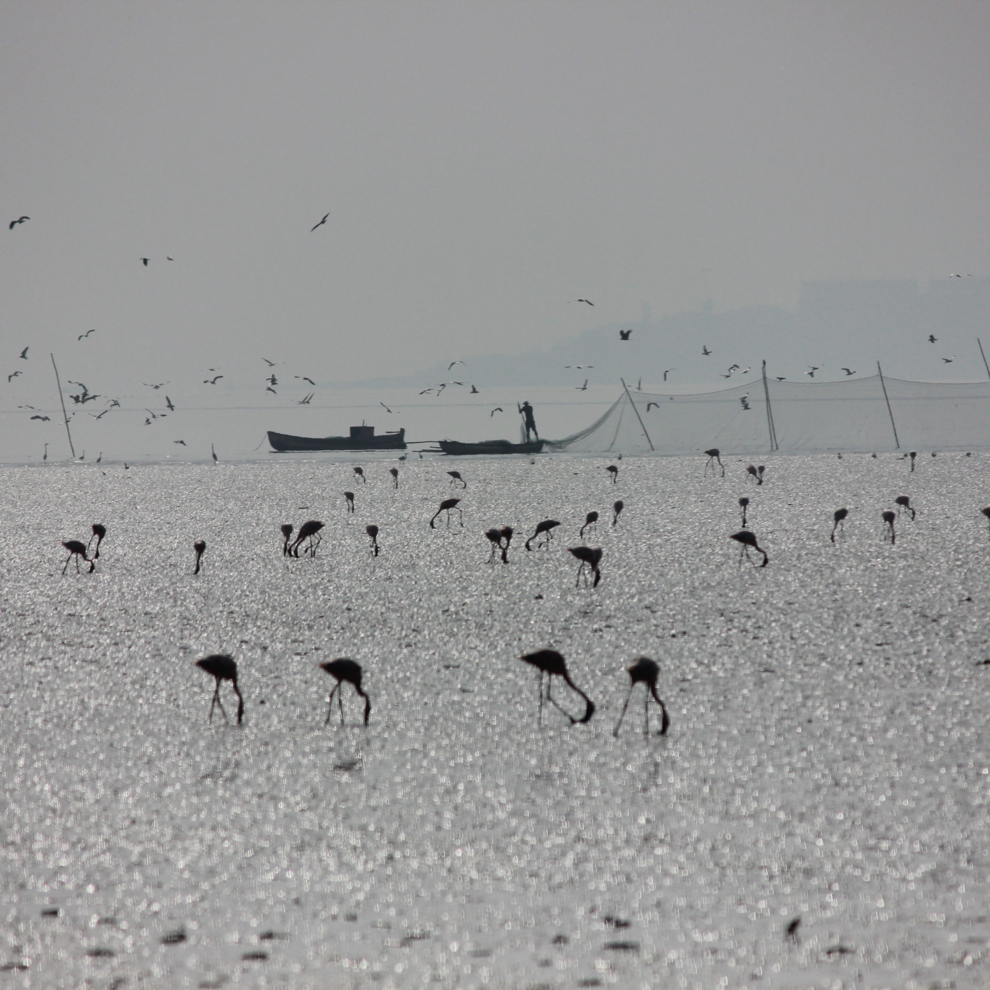 sun_together's profile picture. We Together