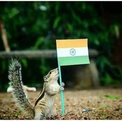 RaheyUcha's profile picture. Equity and ETF Investor in debt free companies. Don't advise Fno,Intra day,margin trading😀Disclaimer:😀Views are personnel and consult expert before buying😀😁