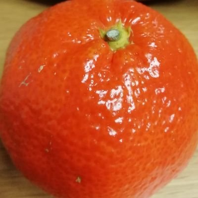 kyomoudon's profile picture. 野球大好きです。贔屓の選手いますが、球団問わずいい試合、いいプレーをたくさん観たいと思っています。大相撲も好きです。映画もたくさん観ます。うどんは朝昼晩、おやついけます！無言フォローお許しください。