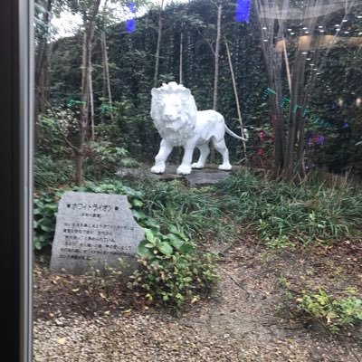 Jr31788606's profile picture. よろしく