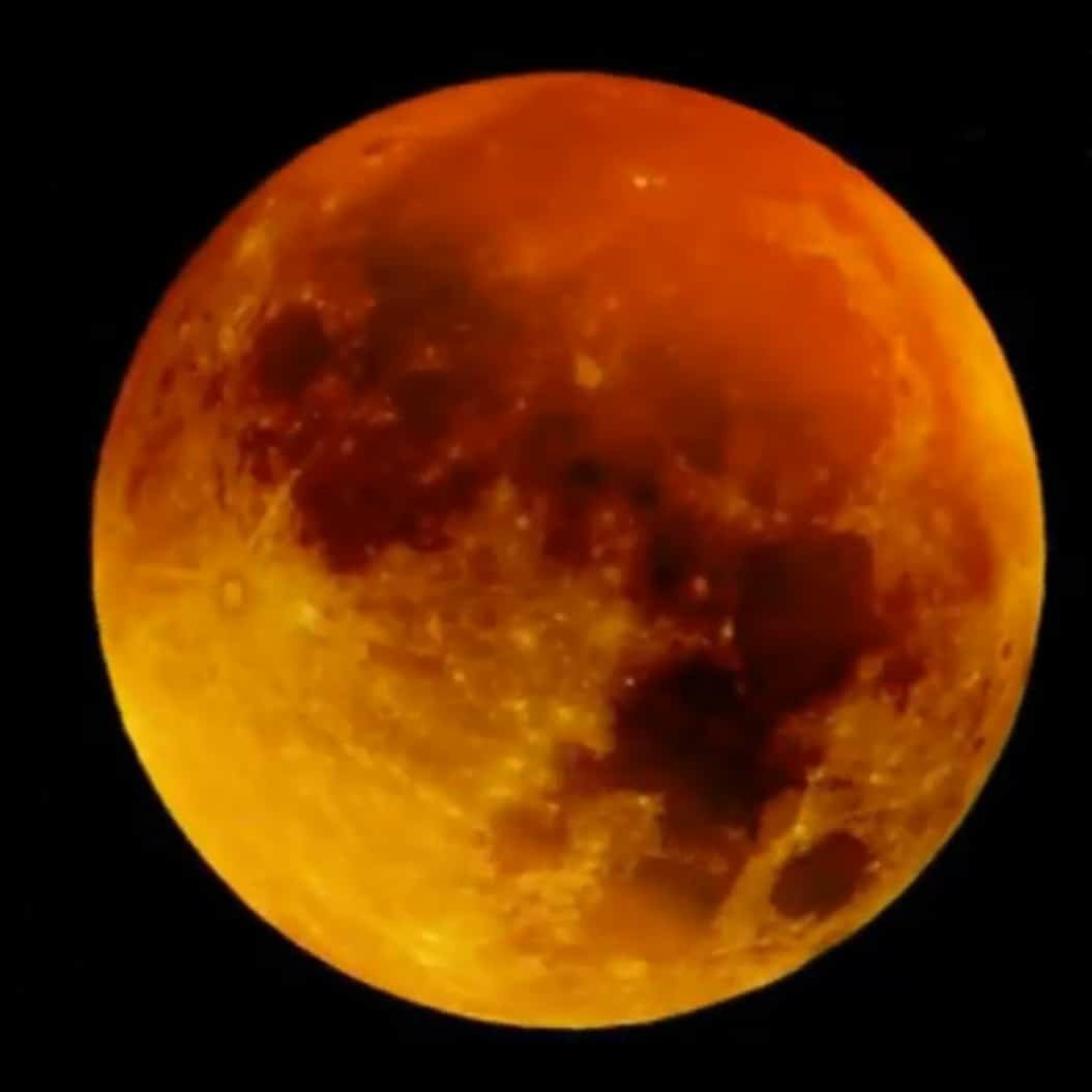 JUANMAN72089309's profile picture. 