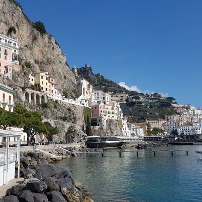 vonprill's profile picture. 