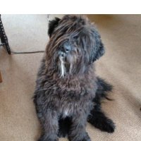 Marjan (@parelingodshand) 's Twitter Profile