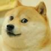 BrockChoy (@kebabdoge) Twitter profile photo BrockChoy (@kebabdoge) Twitter profile photo