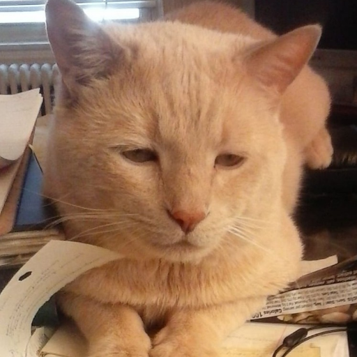 MartinGConde's profile picture. ROMA ARCHEOLOGICA & RESTAURO ARCHITETTURA 2025. I Fori Imperiali - Scavi, Restauro Architettonico e Bibliografia, 1993-2026.