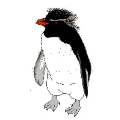 Penguin19 Penguin19 Twitter Penguin19 Penguin19 Twitter