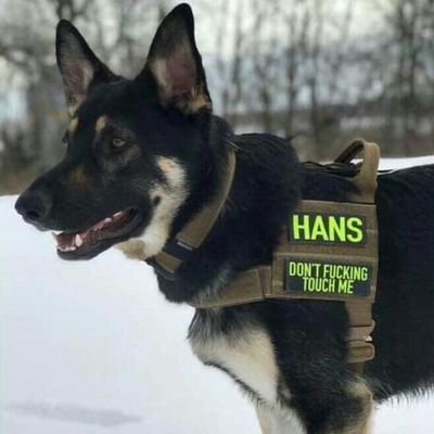 WeiHanLier's profile picture. :')