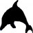 blackdolphin_tw
