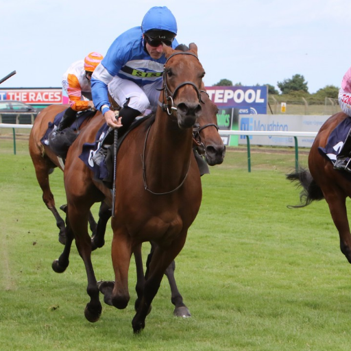 JamesVa53442566's profile picture. sports fan