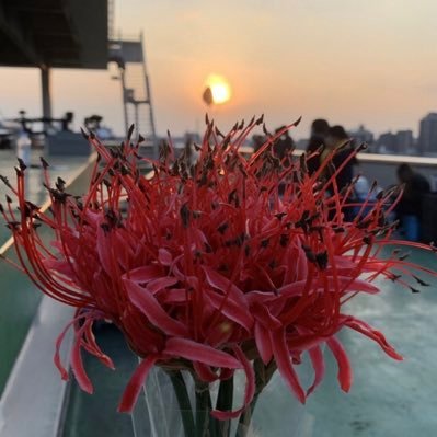 genchan7734's profile picture. 