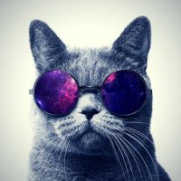 HayırYaniEtikOlmaz (@ryanietikolmaz) 's Twitter Profile