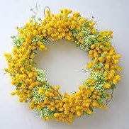 Dyzkt's profile picture. 