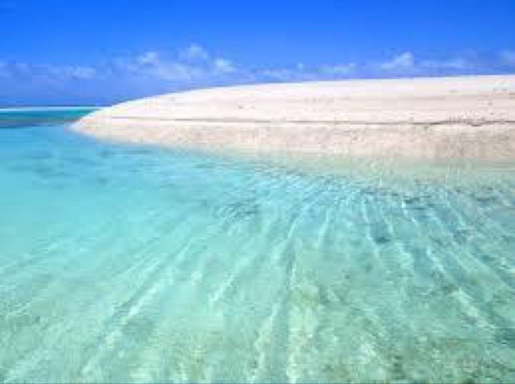 suzusuzukiki12's profile picture. 