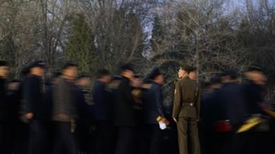 cherryxiangjiao's profile picture. 