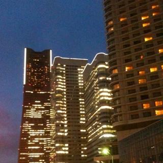 野村楓小紫という植物があります。オケでバイオリン弾きたい。普段は横浜でハードウェア(IT機器⁇)開発屋さん。