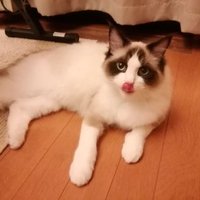 坂田徹 (@tohrusakata) 's Twitter Profile