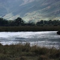 NualaWhitehead (@whiteheadnuala) 's Twitter Profile Photo NualaWhitehead (@whiteheadnuala) 's Twitter Profile Photo