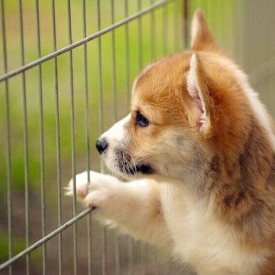 ko_gi_thumb's profile picture. 旭 74 → 名 農
劇団新生 レベル４ と 劇団眠れない夜のポニーテール