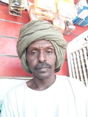 السكن وادي حلفا أعمال حره التعليم الشهاده السودانيه