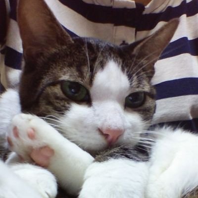 玲(れん)さんのプロフィール画像