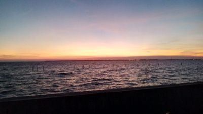 Goodguy123452's profile picture. hi i am boss Age 20 i from thai, i am furry and i like Furry artwork and animation 3D ,3D artwork. 🔞NSFW🔞/SFW(I use Google translate.I'm not good at English)