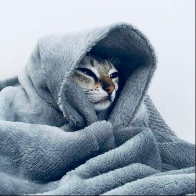 Temi95130255's profile picture. I put my faith in God, blessed and still breathing.