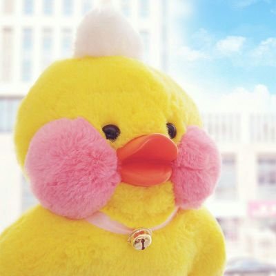 chaeeeshin's profile picture. bocil kejebak di badan orang dewasa.