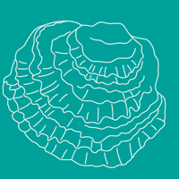 Native Oyster Network - UK & Ireland(@NativeOysterNet) 's Twitter Profile Photo