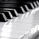 Shena Fox - @shenafox - Twitter