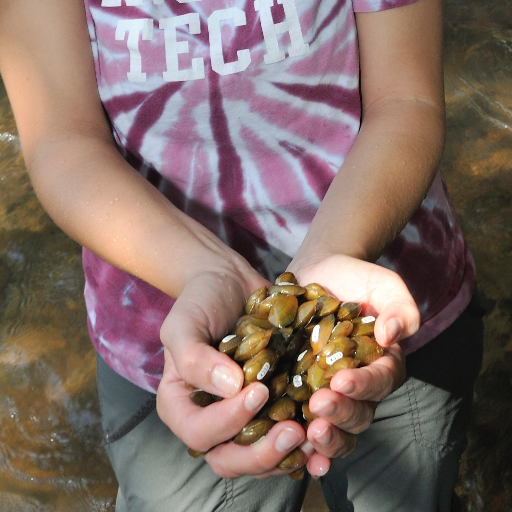 Department of Fish & Wildlife Conservation @ Virginia Tech
Offering educational and research programs in Fish and Wildlife Conservation