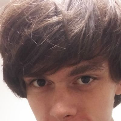 Sunflowerfiel13's profile picture. 