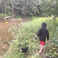 Sarah Arcand (@saraharcand1) 's Twitter Profile