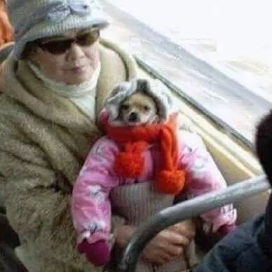 SamCropper's profile picture. Live slow, die in hilarious circumstances.