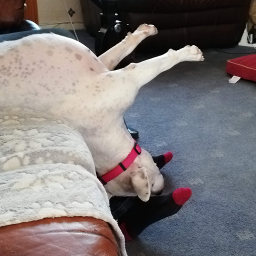 Steepdene's profile picture. A 40-something from the UK who loves PC games and suffers from #chronic #pain.