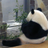 かずん77777のアイコン