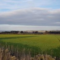 Douglas_edu (@douglas01706411) 's Twitter Profile Photo