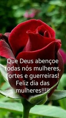 Meu coração