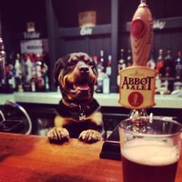 The Kentford (@thekentford) 's Twitter Profile