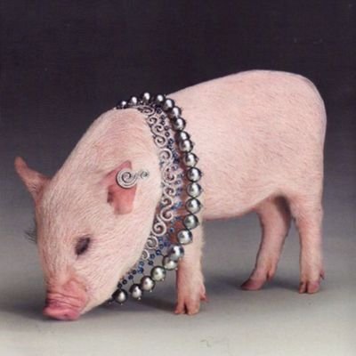 HomoHomoSapien_'s profile picture. 29|Dom|Vers Kinky boys to the front! DM me your desires. Love bondage, edging, spanking, CBT, ff and more! Ohio/WV boys slide into my DM.