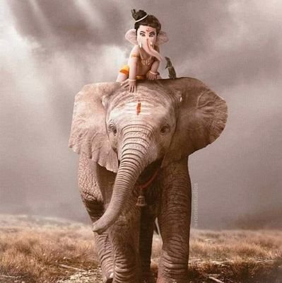 JayaganthL's profile picture. 