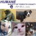 HSFC (@forsythpets) Twitter profile photo