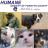 forsythpets's profile image